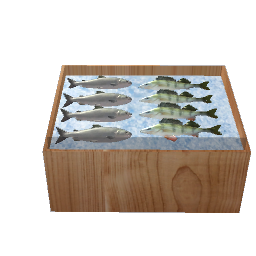  display of raw fish preview