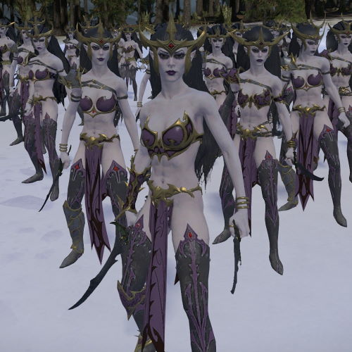 Just A Witch Elf Reskin