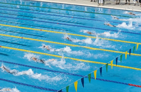 Swim Club/Team