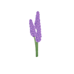 Lavender Bundle