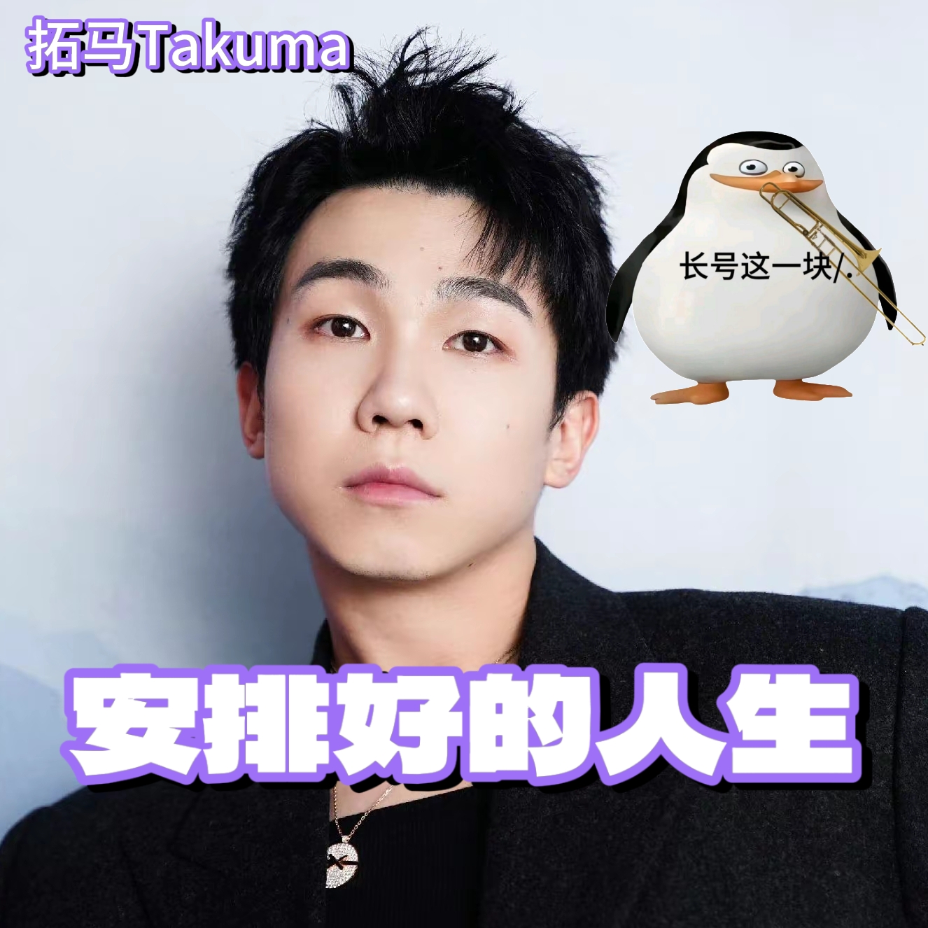 安排好的人生