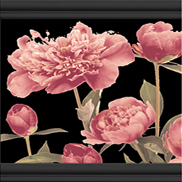 2x1 Floral Trim tile
