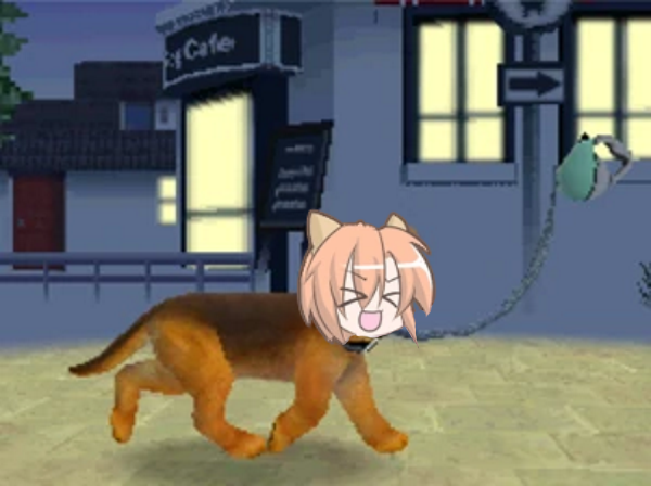 Walking the Dog Over QP's theme