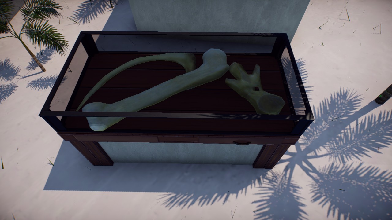 Bone excibit