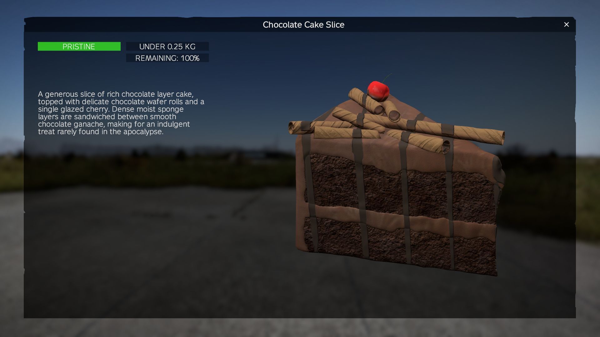 Chocolate Cake Slice