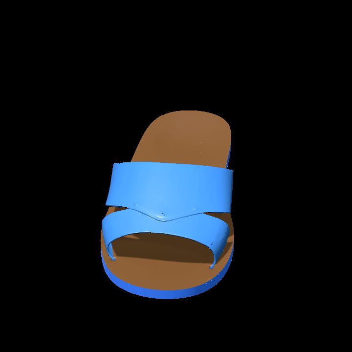 Slipper or sandal right