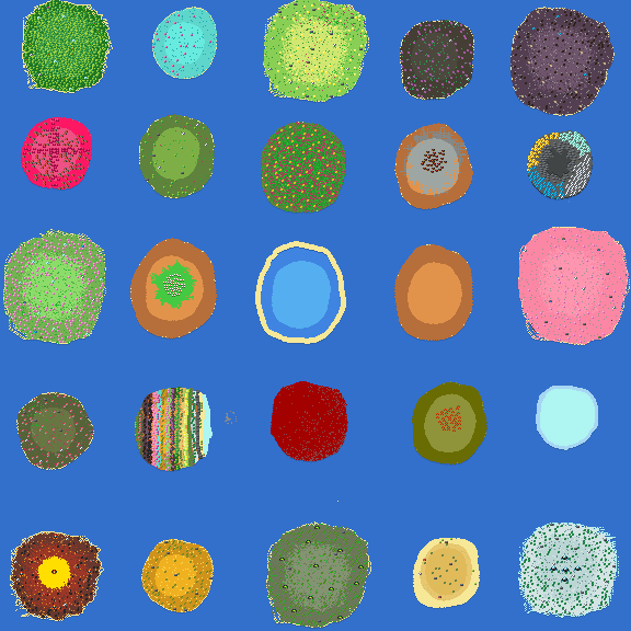 The Islands Of Everything preview