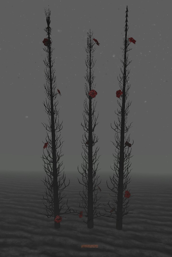 Black Tree Roots / Vines