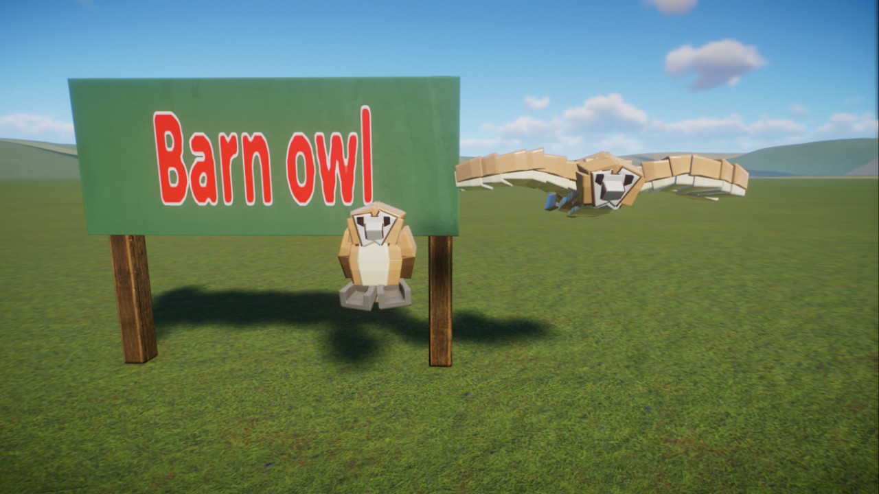 Dark's:Barn owl