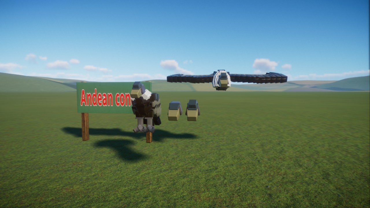Dark's Andean condor