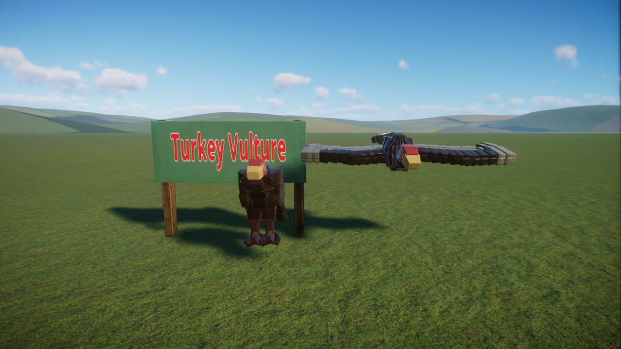 Dark's:Turke Vulture