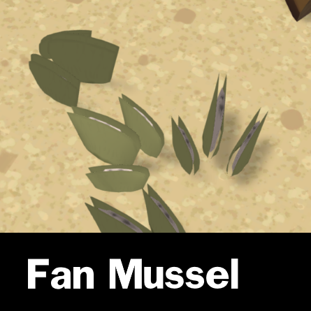 Fan Mussel