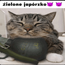 Polish Memes