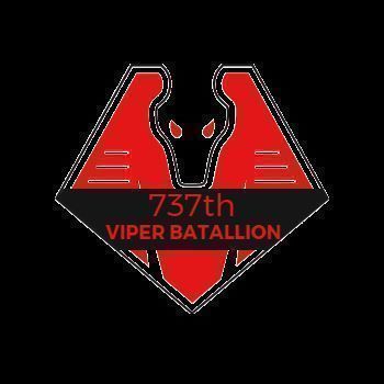 737th Viper Battalion