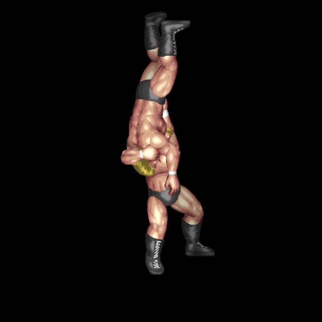 超長滞空ブレーンバスター/Long Delayed Vertical Suplex