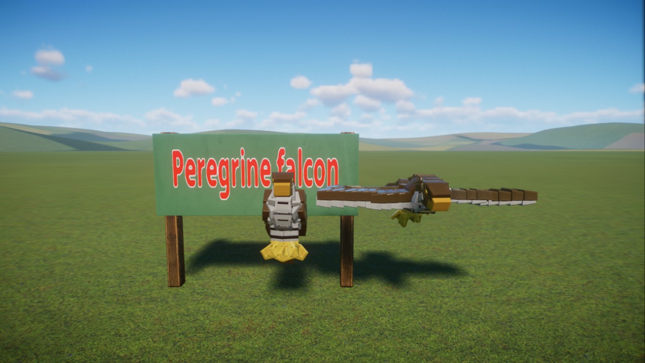 Dark's:Peregrine falcon