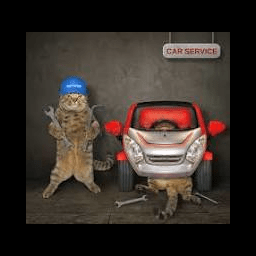 Auto Mechanics Server