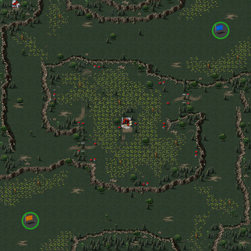 CCLP TM TK hidden cultivation