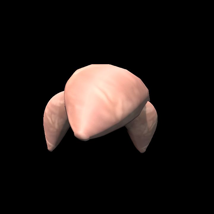Flesh Bug Body w Legs (Turkey Bug)