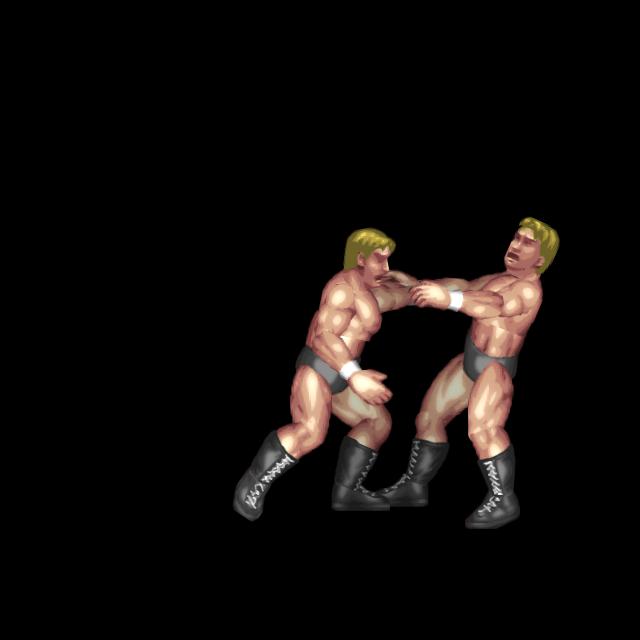 豪腕逆水平チョップ連打(組中)/Go-Wan Knife-Edge Chop Rush(FGrappleM)