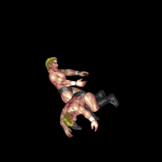 2ndロープダイビングショルダーアタック/2ndRope Diving Shoulder Attack