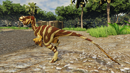 Marble Oviraptor [accepted]