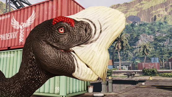 Capercaillie Ovi (Easter 2021)