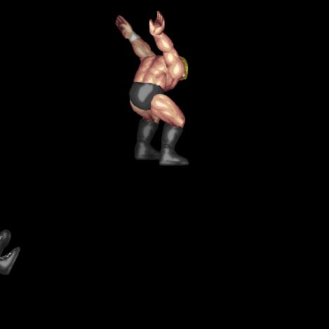 Double Jump Moonsault