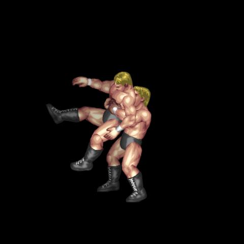 Takedown into Mount Position