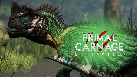 Amazonian Cerato