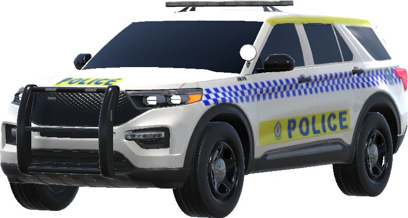 NSW Police High Visibility preview