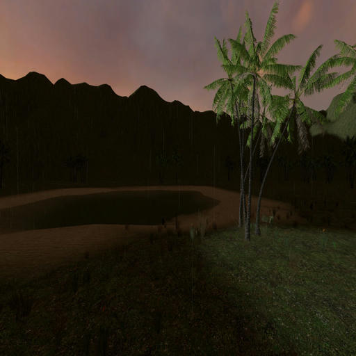 Vietcong tunnels
