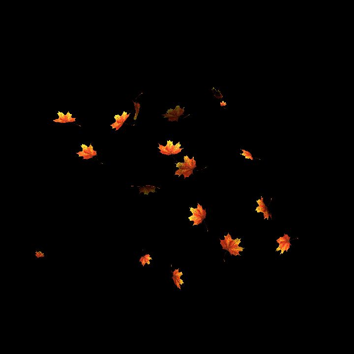 Falling leaves (animated) - passable preview