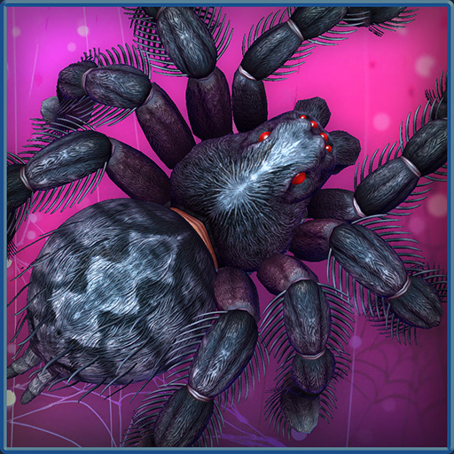 Tarantula Queen
