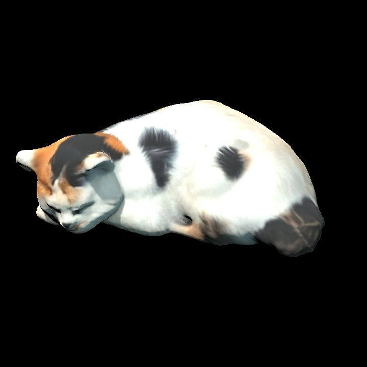 Poppy cat