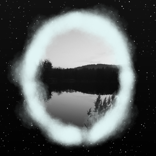 RoDy.cOde - Swan lake