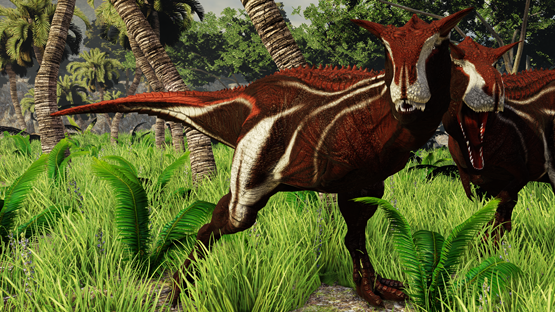 Bordeaux Carno