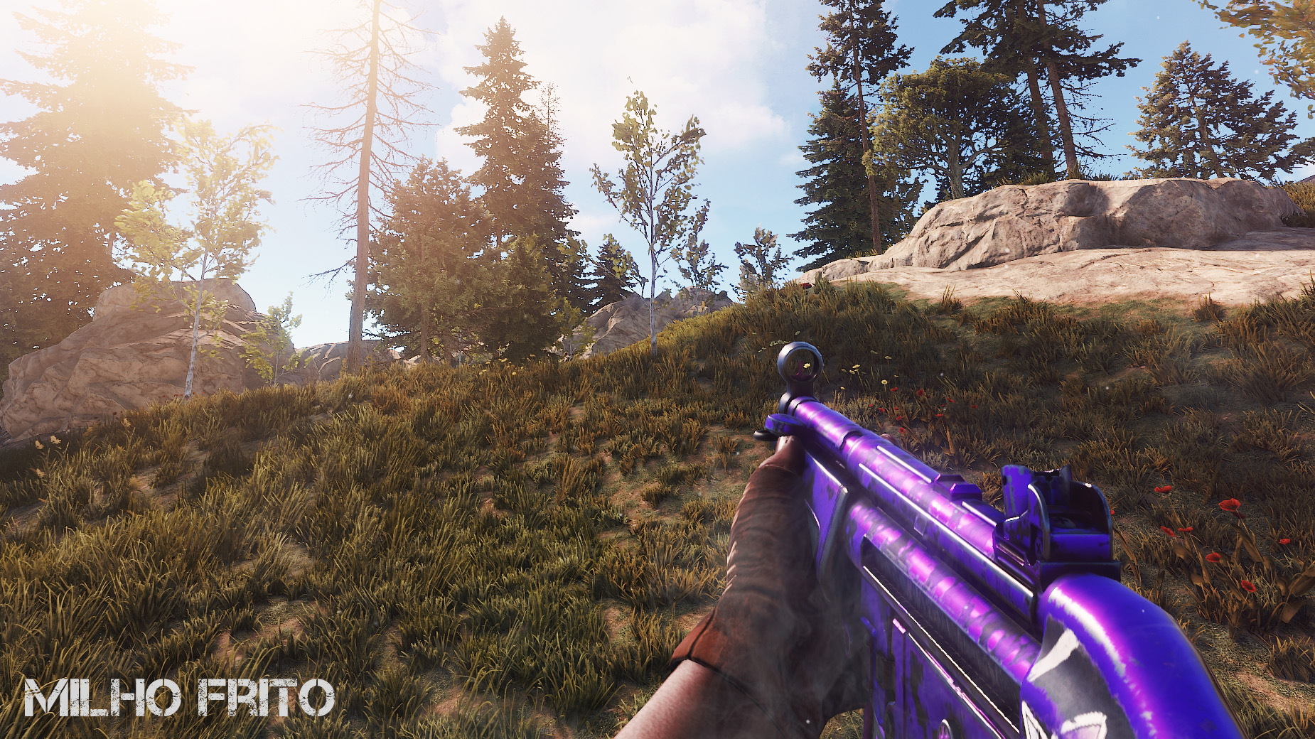 Terpsicat MP5