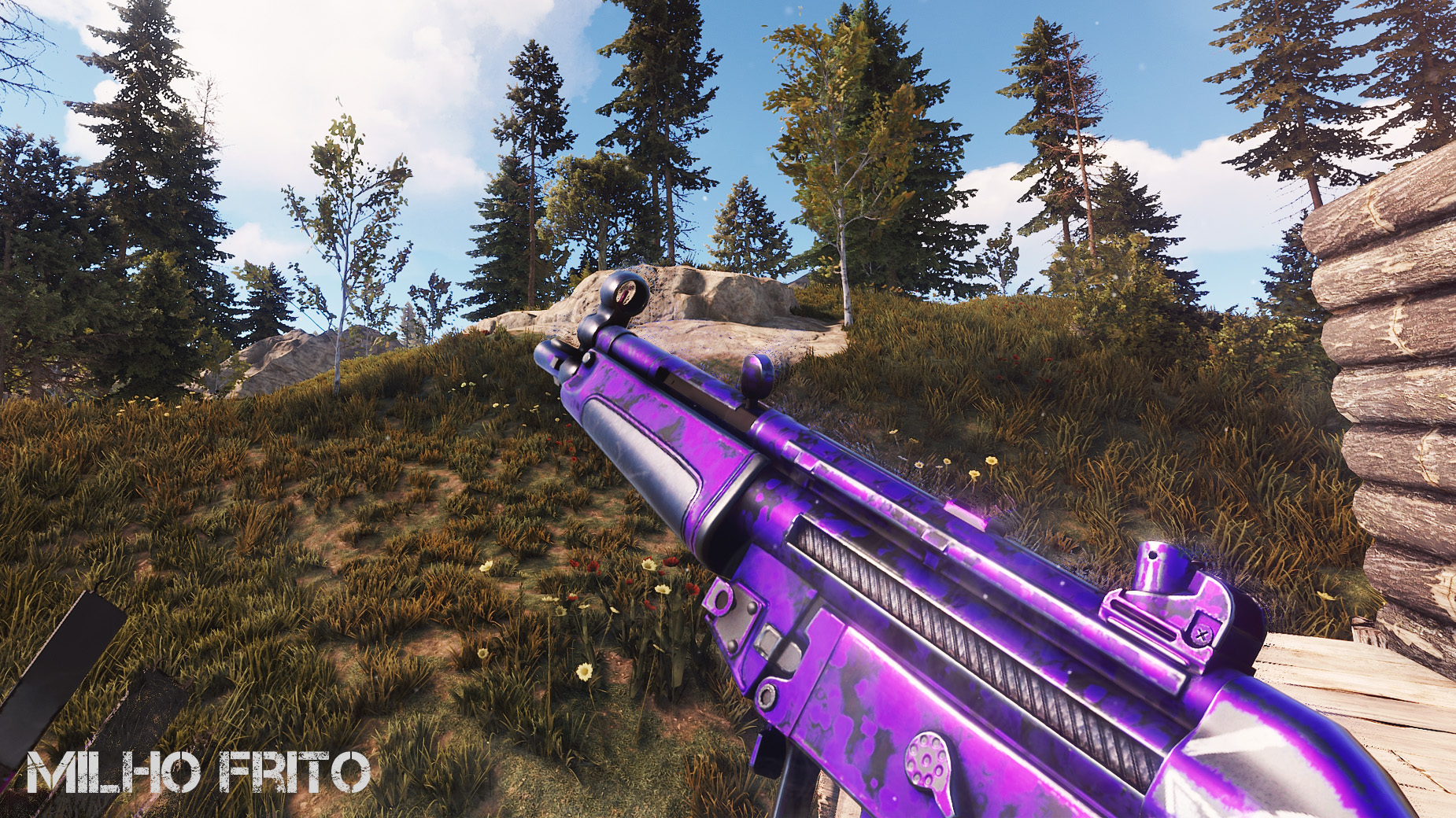 Terpsicat MP5