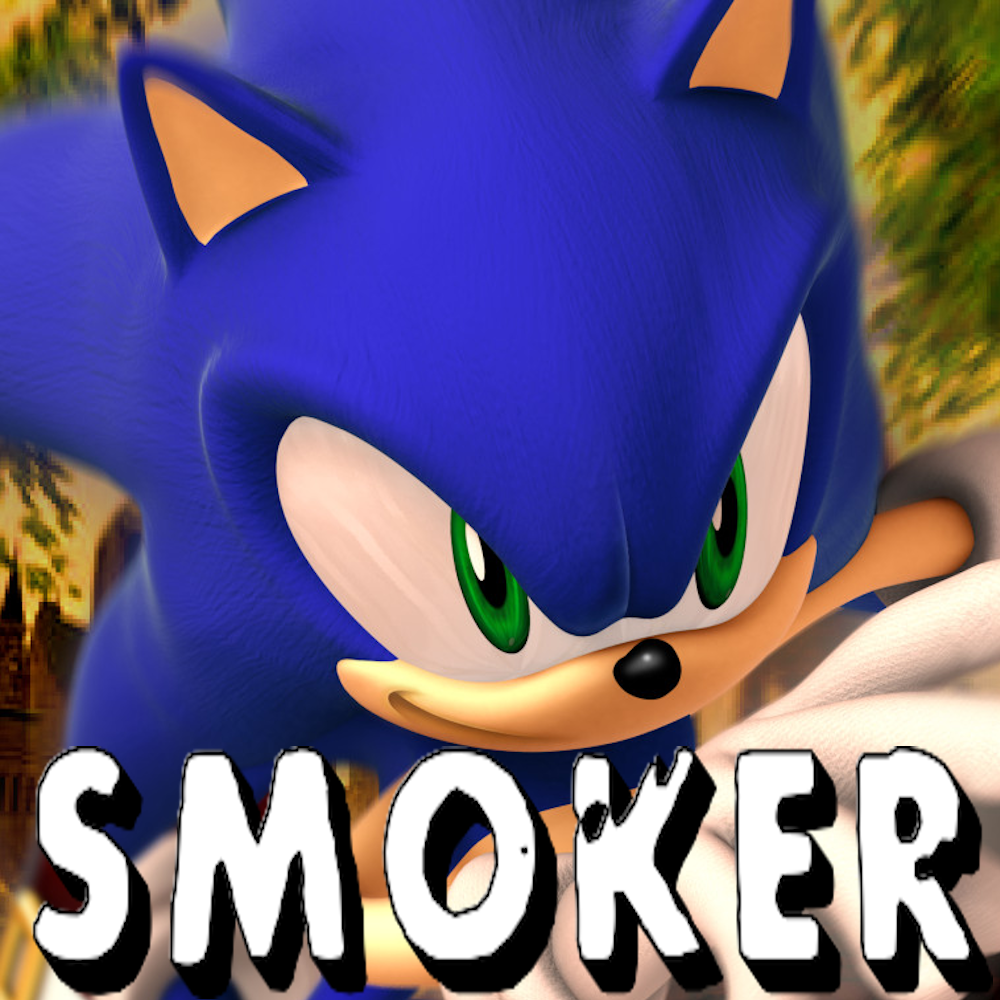 Sonic The Hedgehog Over Smoker
