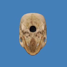 Cool skull I used for the achievement