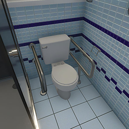 Handicap Toilet Bars