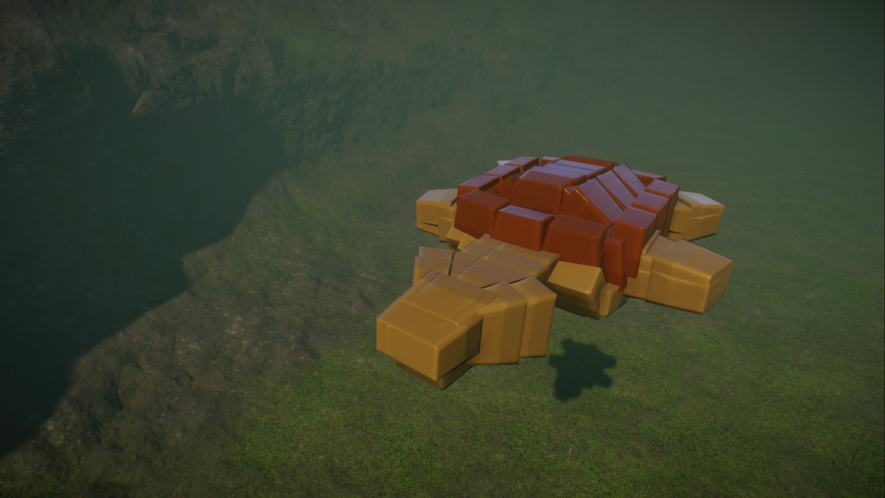 Dark's:matamata turtle