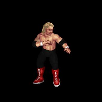 Steve Austin