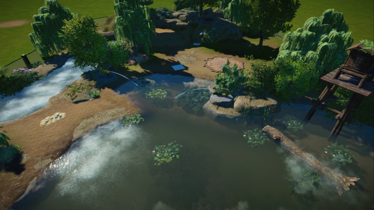 🐊 Alligator habitat 🐊
