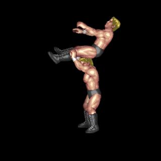 Back Reverse Frankensteiner (Back Avalanche Setup Counter)