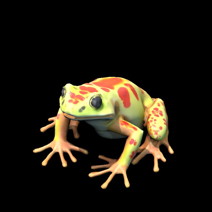 Frog 1