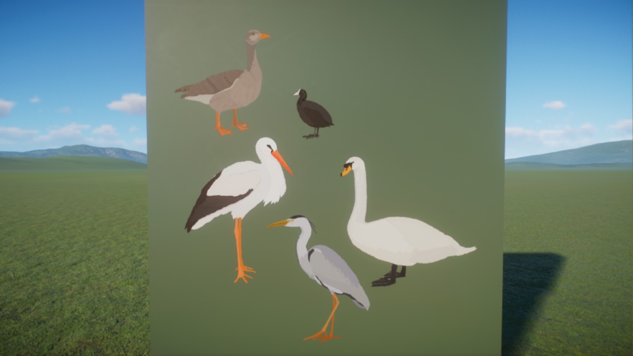 Five European Birds sign by NoaBo1