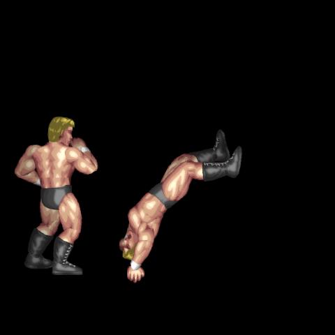 Handspring Evade