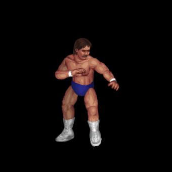 Lanny Poffo